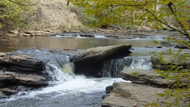 Road crossing the forest